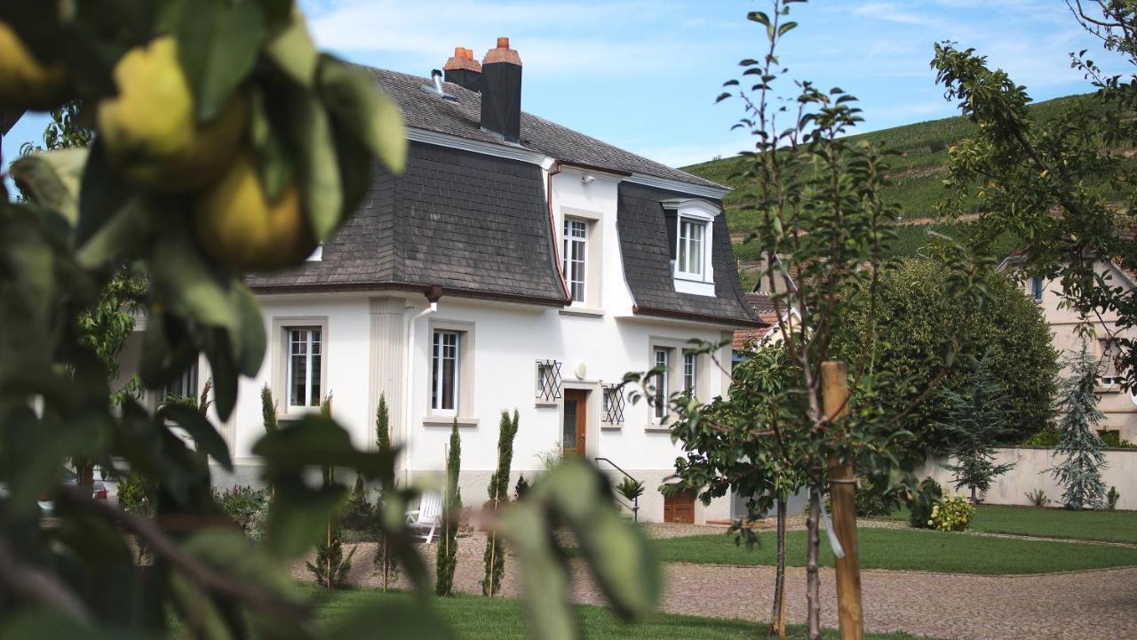 Les Charmes De La Vallee Noble Soultzmatt Exterior photo